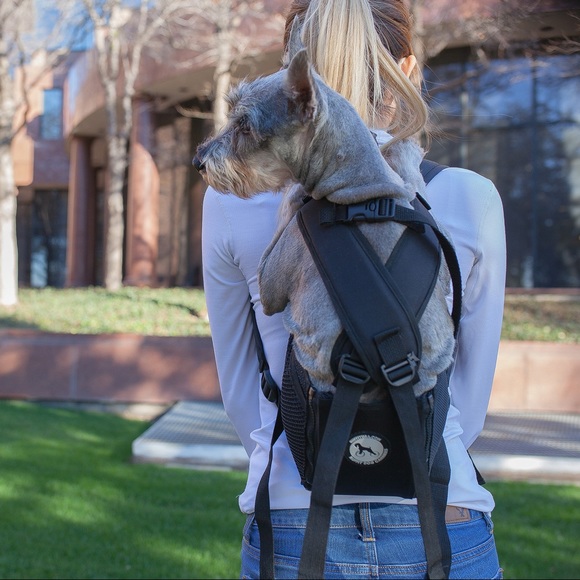 ruffit dog backpack